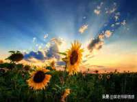 聊城众英金属材料有限公司