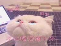 聊城众英金属材料有限公司