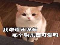 聊城众英金属材料有限公司