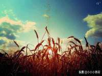 聊城众英金属材料有限公司