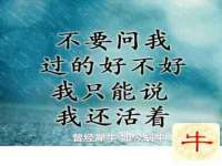 聊城众英金属材料有限公司
