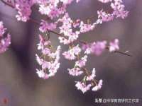 聊城众英金属材料有限公司