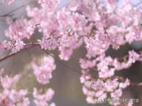 聊城众英金属材料有限公司