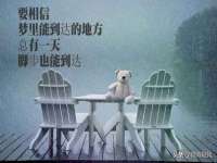 聊城众英金属材料有限公司