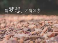 聊城众英金属材料有限公司