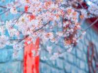 聊城众英金属材料有限公司