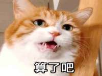 聊城众英金属材料有限公司