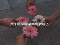 聊城众英金属材料有限公司