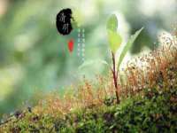 聊城众英金属材料有限公司