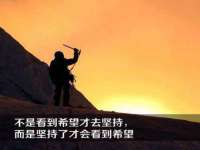 聊城众英金属材料有限公司