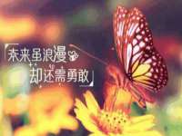 聊城众英金属材料有限公司