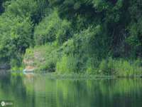 聊城众英金属材料有限公司