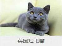 聊城众英金属材料有限公司