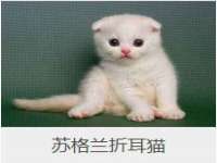 聊城众英金属材料有限公司