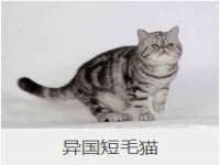 聊城众英金属材料有限公司