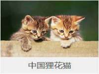 聊城众英金属材料有限公司