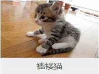 聊城众英金属材料有限公司