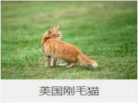 聊城众英金属材料有限公司