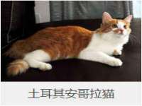 聊城众英金属材料有限公司