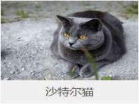 聊城众英金属材料有限公司