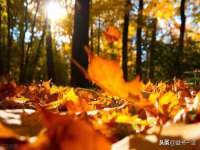 聊城众英金属材料有限公司