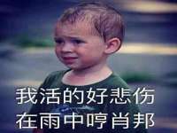 聊城众英金属材料有限公司