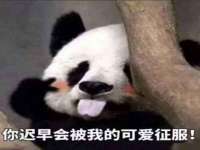 聊城众英金属材料有限公司