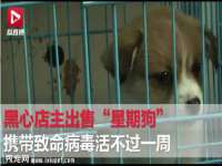 聊城众英金属材料有限公司