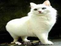 聊城众英金属材料有限公司