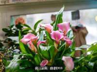 聊城众英金属材料有限公司