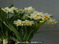 聊城众英金属材料有限公司
