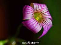 聊城众英金属材料有限公司