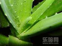 聊城众英金属材料有限公司