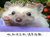聊城众英金属材料有限公司