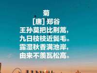 聊城众英金属材料有限公司