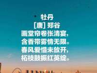 聊城众英金属材料有限公司