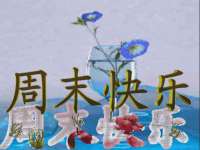 聊城众英金属材料有限公司