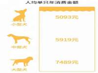 聊城众英金属材料有限公司