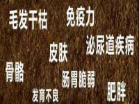 聊城众英金属材料有限公司