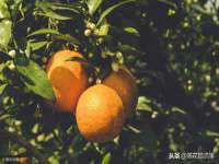 聊城众英金属材料有限公司