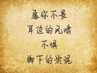 聊城众英金属材料有限公司