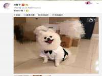 聊城众英金属材料有限公司