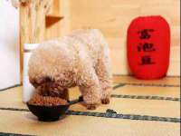 聊城众英金属材料有限公司