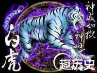 聊城众英金属材料有限公司