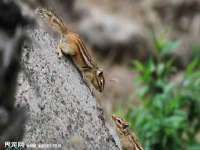 聊城众英金属材料有限公司