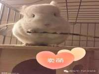 聊城众英金属材料有限公司