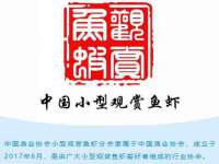 聊城众英金属材料有限公司