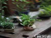 聊城众英金属材料有限公司