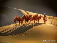 聊城众英金属材料有限公司