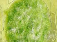 聊城众英金属材料有限公司